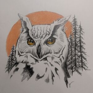 Majestic Owl Illustration with Orange and Black Details